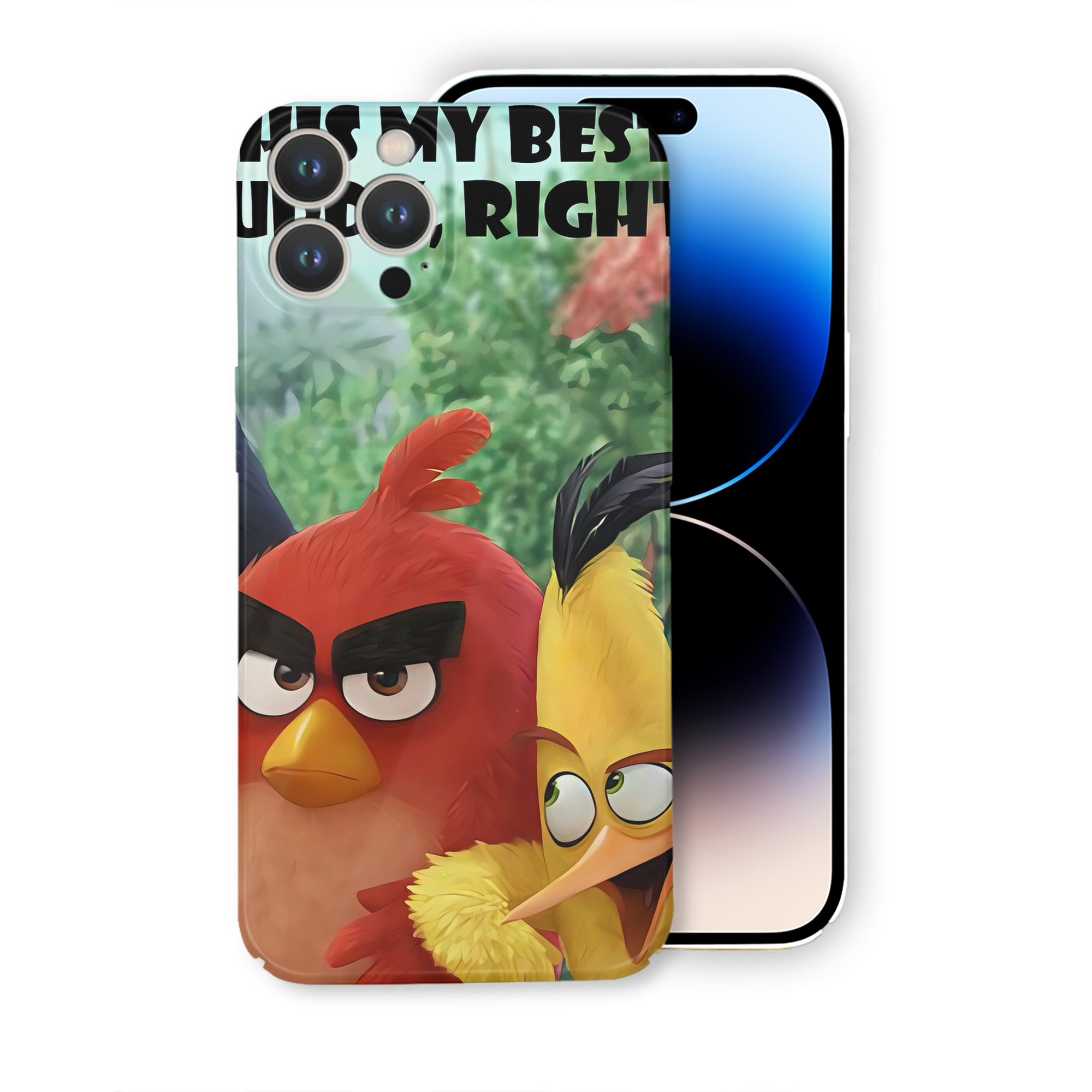 （画像用） Angry Birds アングリーバード 【iPhone 14シリーズ対応】ハードケース
